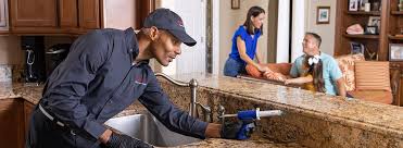 Best Pest Prevention Services  in Philipsburg, MT